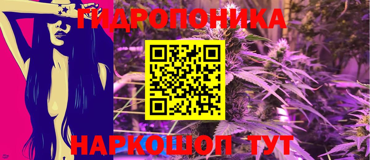 Шишки марихуана семена  МАРИХУАНА сатива  Каннабис марихуана  Сургут  Вход с VPN 